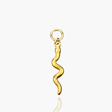 Small snake